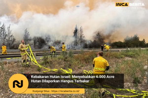 Kebakaran Hutan Israel: Peran Masyarakat dalam Pencegahan dan Penanggulangan