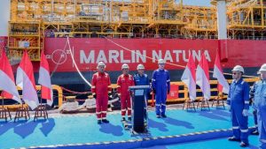 Migas Natuna