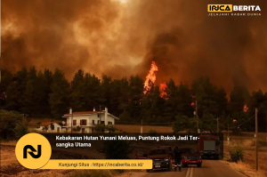 Kebakaran Hutan Yunani dan Perubahan Iklim: Hubungan yang Makin Nyata