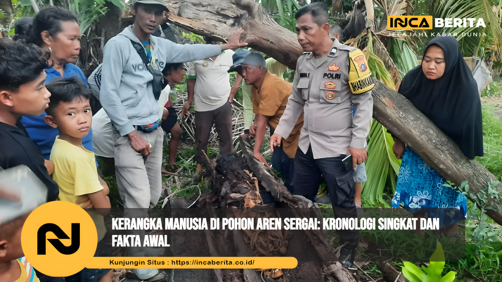 Kerangka manusia di pohon aren Sergai: kronologi singkat dan fakta awal