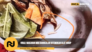 Menu MBG Ada Ulat, Warga Pertanyakan Standar Kebersihan Penyedia Makanan