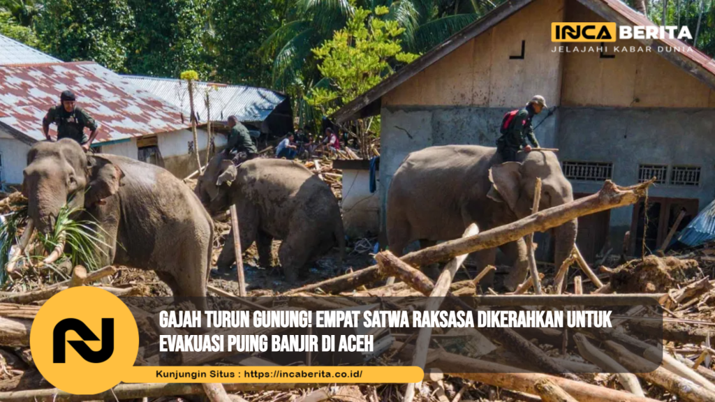 Gajah Bantu Evakuasi