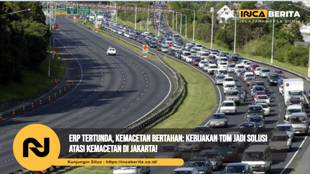 Kebijakan TDM
