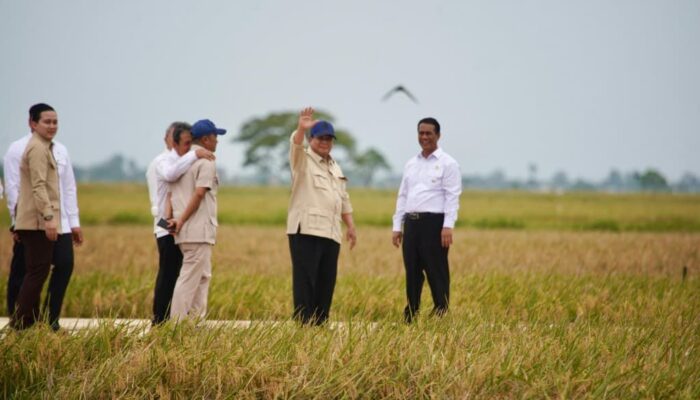  Panen Raya di Karawang