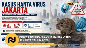 Dinkes Temukan Kasus Hanta Virus Jakarta Tahun 2026