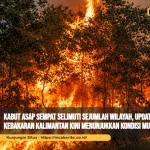 Kabut Asap Sempat Selimuti Sejumlah Wilayah, Update Kebakaran Kalimantan Kini Menunjukkan Kondisi Mulai Membaik