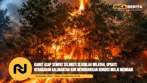 Kabut Asap Sempat Selimuti Sejumlah Wilayah, Update Kebakaran Kalimantan Kini Menunjukkan Kondisi Mulai Membaik