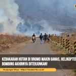 Kebakaran Hutan di Bromo