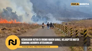 Kebakaran Hutan di Bromo