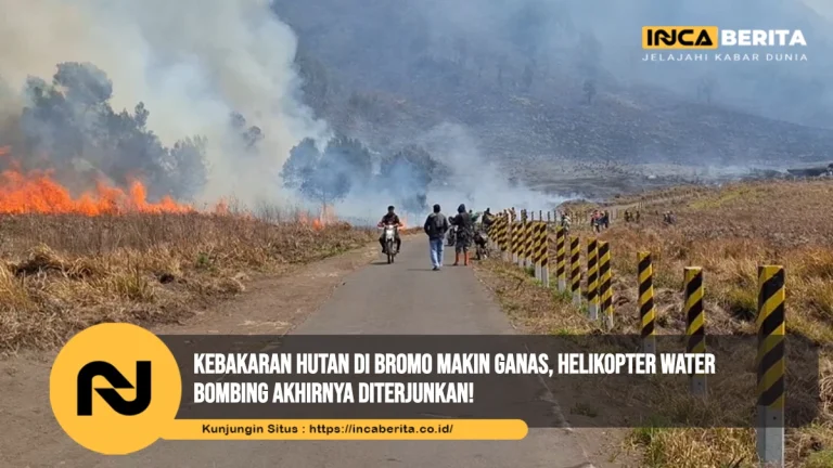 Kebakaran Hutan di Bromo