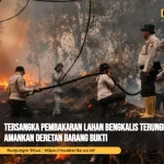 Tersangka Pembakaran Lahan Bengkalis